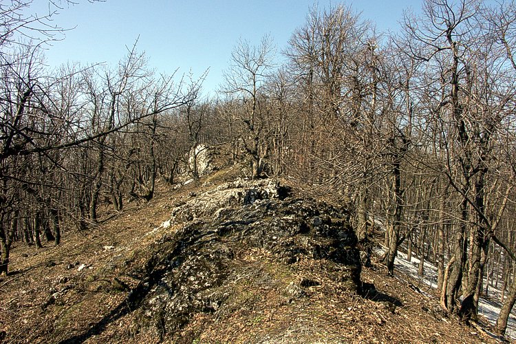 click to return