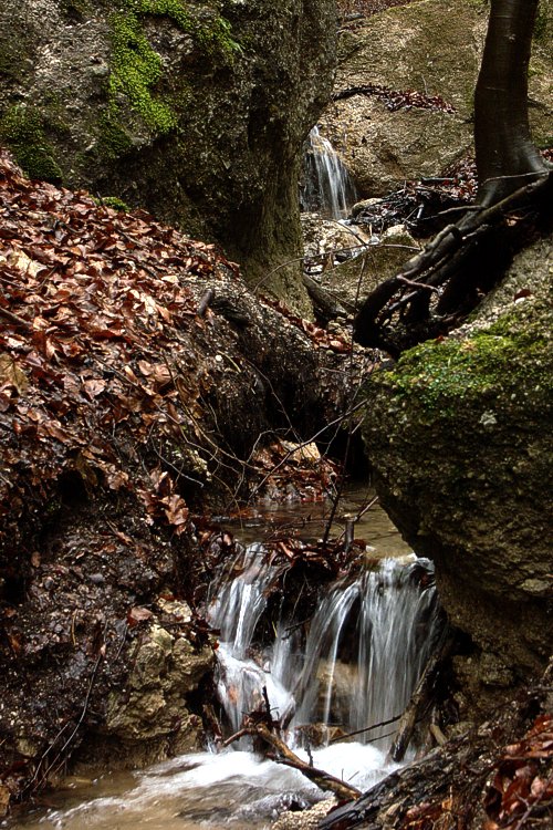 click to return