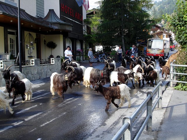 click to return