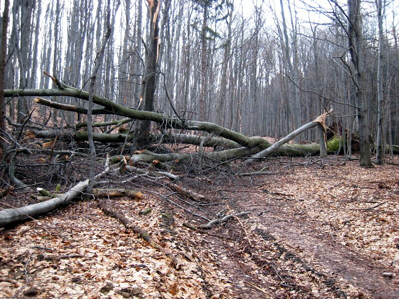 click to return