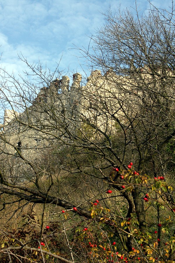 click to return